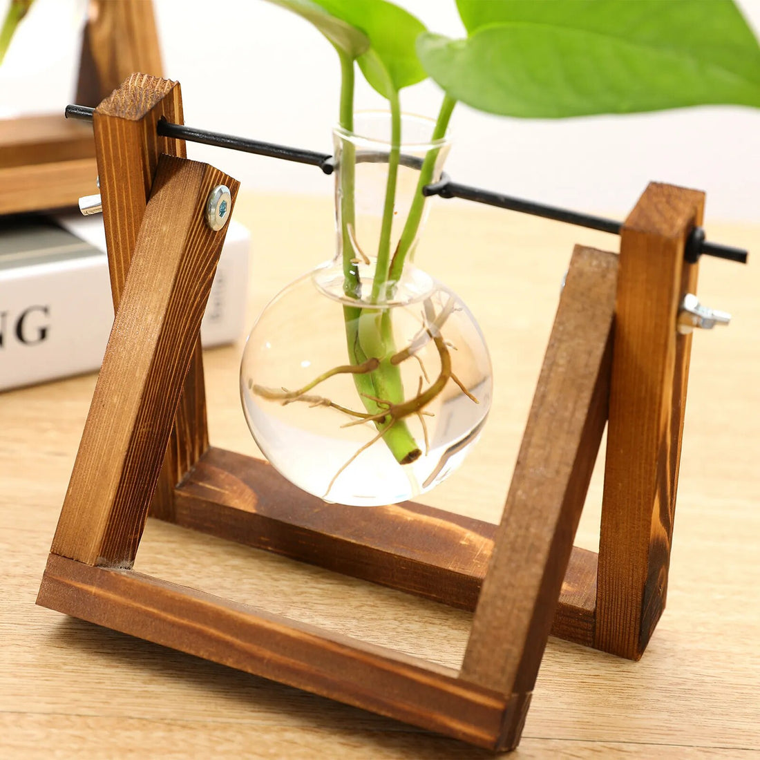 Propagation Station Glass Hydroponic Planter Bulb Terrarium Vase with Retro Wooden Stand for Hydroponics Plants Table Decor